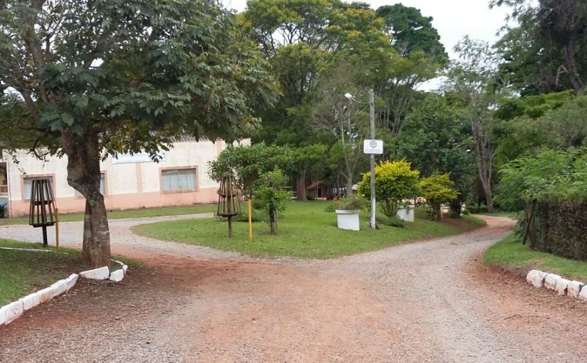 Projetos Escola Girassol