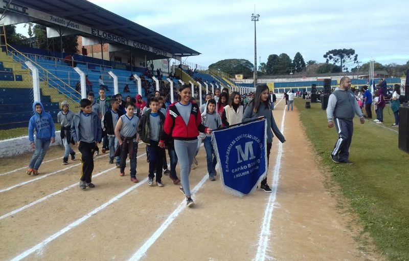 Participação na Olimpíada Estudantil