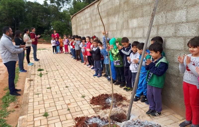 Espaço árvore é implantado na Escola Ileny de Souza Galvão Dias
