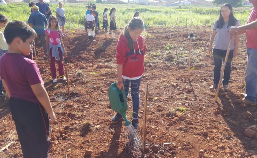 Prefeitura e escola plantam 150 mudas de árvores na Vila Aparecida